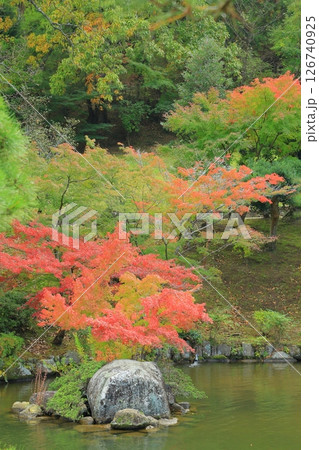紅葉のある庭園 126740925