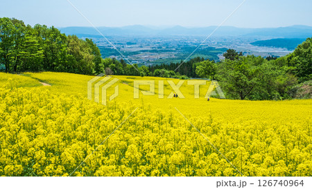 三ノ倉高原菜の花畑 126740964