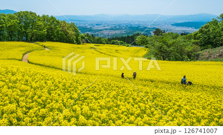 三ノ倉高原菜の花畑 126741007