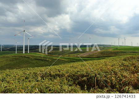 北海道 稚内 宗谷丘陵の風車の道 126741433