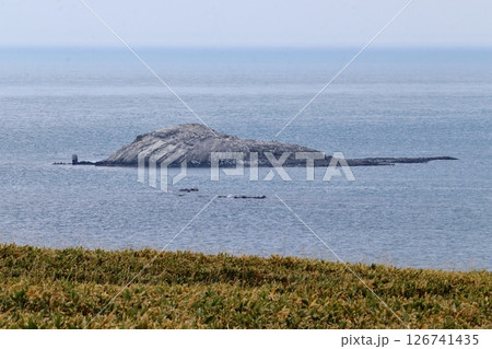 実効支配内の日本最北端 宗谷岬の弁天島 126741435