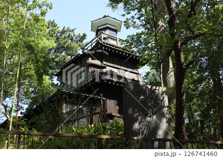 船橋 意富比神社 船橋 意富比神社 126741460