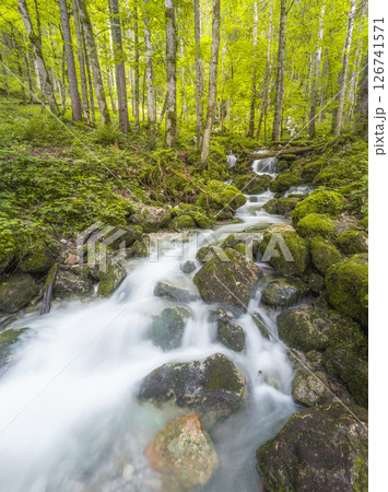 Rothbach Waterfall near Konigssee lake in Berchtesgaden National Park, Germany Rothbach Waterfall near Konigssee lake in Berchtesgaden National Park, Germany 126741571