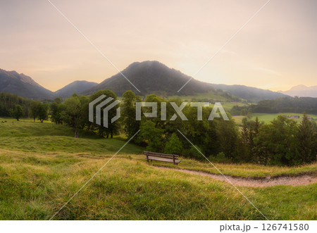Meadow with road and bench during sunset in Berchtesgaden National Park Meadow with road and bench during sunset in Berchtesgaden National Park 126741580