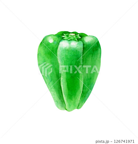 ピーマン 野菜　水彩 イラスト 126741971