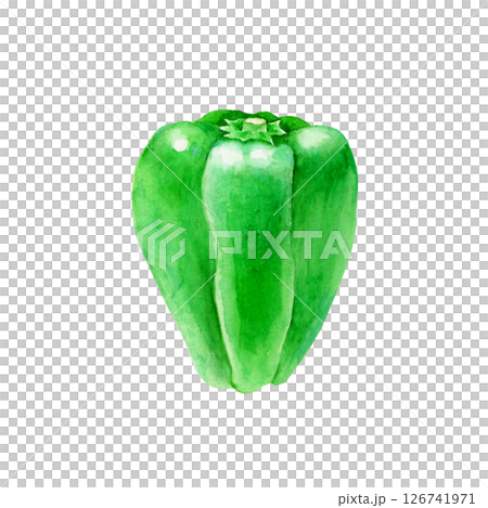 ピーマン 野菜　水彩 イラスト 126741971
