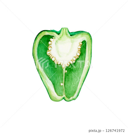 ピーマン 野菜 断面　水彩 イラスト 126741972