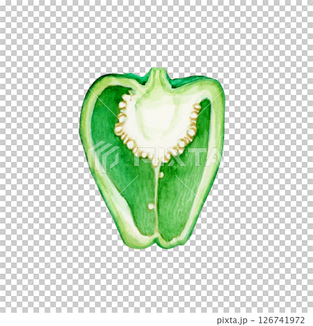 ピーマン 野菜 断面　水彩 イラスト 126741972