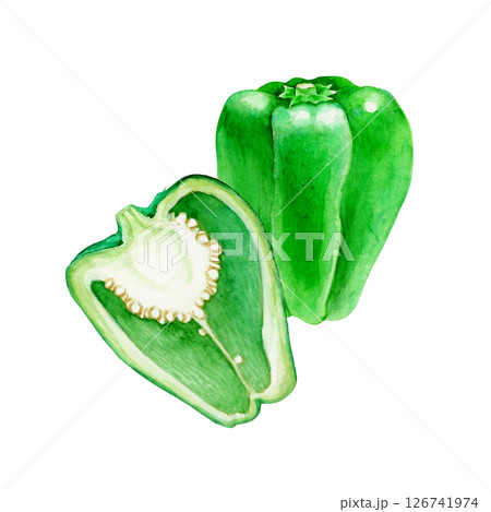 ピーマン 野菜 断面 水彩 イラスト ピーマン 野菜 断面 水彩 イラスト 126741974