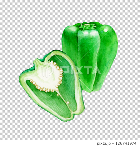 Bell pepper vegetable cross section watercolor illustration 126741974