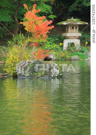 紅葉のある風景 紅葉のある風景 126742008