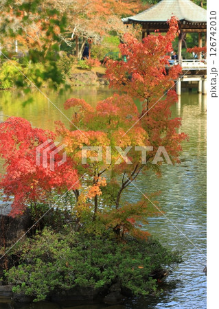 紅葉のある風景 126742010