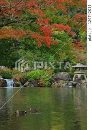 紅葉のある風景 126742011