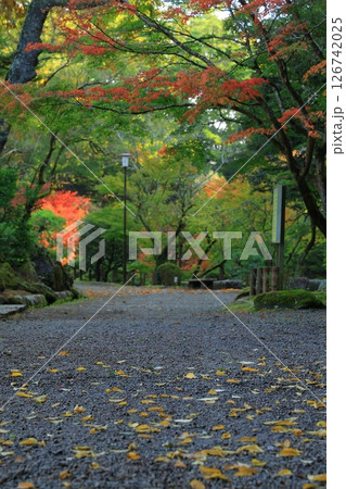 紅葉のある風景 紅葉のある風景 126742025