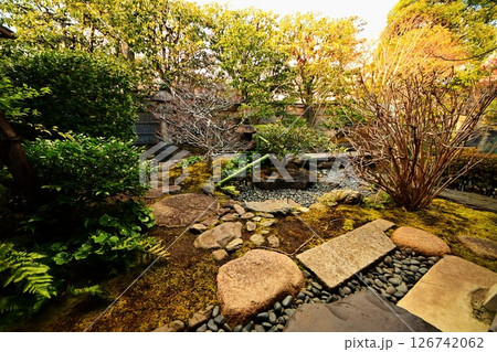 京都府　東寺 観智院・楓泉観の露地庭 獅子脅し　京都市 南区 九条町　2022年2月 126742062