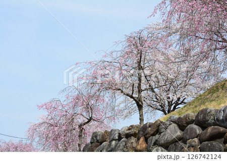 道の駅たかねざわ元気あっぷ村　＃138 126742124