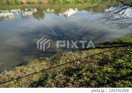 川に落ちる樹木の影 126742209