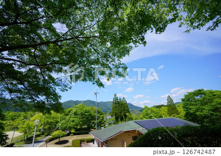 京都和束五月の公園・てらす和豆香・京都和束荘7 126742487