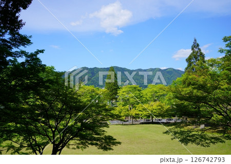 京都和束荘から見下ろす、てらす和束の五月の公園6 126742793