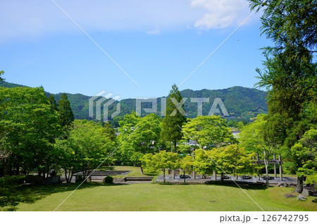 京都和束荘から見下ろす、てらす和束の五月の公園8 京都和束荘から見下ろす、てらす和束の五月の公園8 126742795