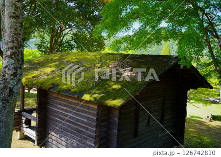 京都和束荘の苔むす小屋の屋根1 126742810