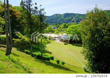 てらす和束・五月の公園2 てらす和束・五月の公園2 126742814