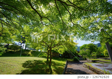 てらす和束五月の公園2 てらす和束五月の公園2 126742820