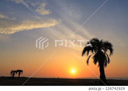 美しい海岸の朝焼け 126742929