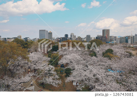 March 29 2025 Cityscape View With Cherry Blossoms and Stone Path in Scenic Park March 29 2025 Cityscape View With Cherry Blossoms and Stone Path in Scenic Park 126743081