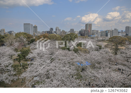 March 29 2025 Cityscape View With Cherry Blossoms and Stone Path in Scenic Park March 29 2025 Cityscape View With Cherry Blossoms and Stone Path in Scenic Park 126743082