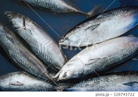 catch of fresh sea fish mackerel at seafood market in Asia catch of fresh sea fish mackerel at seafood market in Asia 126743722
