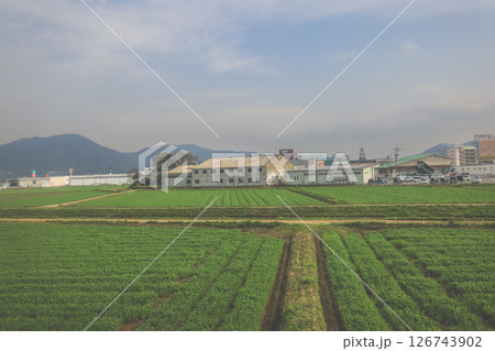 March 28 2025 Wide Farmland Scene with Mountains and Industrial Buildings March 28 2025 Wide Farmland Scene with Mountains and Industrial Buildings 126743902