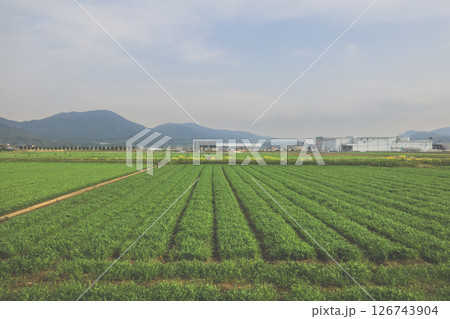 March 28 2025 Wide Farmland Scene with Mountains and Industrial Buildings March 28 2025 Wide Farmland Scene with Mountains and Industrial Buildings 126743904