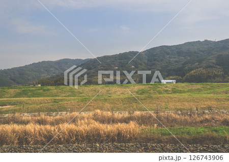 March 28 2025 Lush Green Grass Field with Power Lines, Japan March 28 2025 Lush Green Grass Field with Power Lines, Japan 126743906