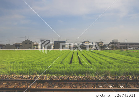 March 28 2025 Lush Green Grass Field with Power Lines, japan March 28 2025 Lush Green Grass Field with Power Lines, japan 126743911