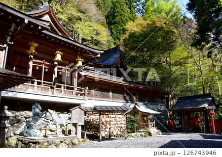 京都市　貴船神社の本宮境内と新緑 126743946