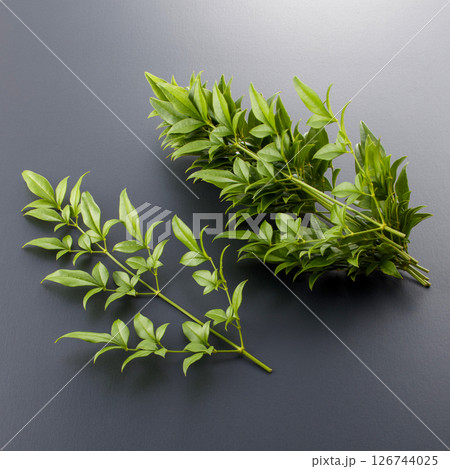 南天の葉_つまもの 126744025