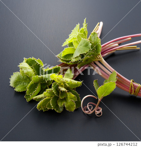 防風_つまもの 126744212