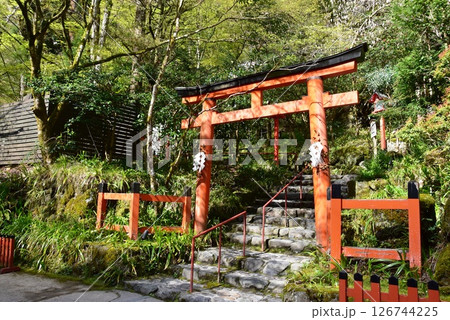 京都市　貴船神社本宮の奥宮側参道と鳥居と新緑 126744225