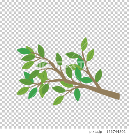 Vector illustration of a cute tree branch 126744801