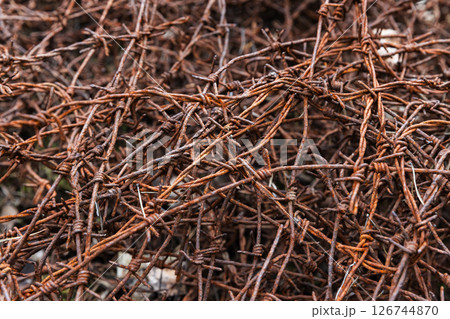 A high-resolution image of rusty, weathered barbed wire 126744870