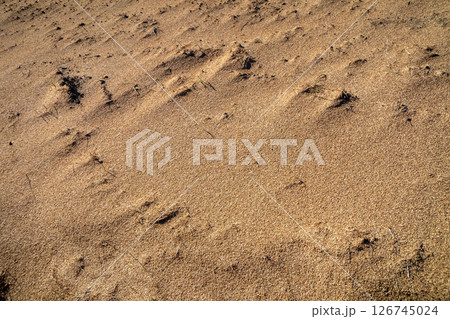 大量の籾殻 126745024