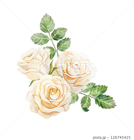 Roses bouquet. Vintage postcard. Hand drawn watercolor illustration isolated on white. For wedding invitations, birthday, mothers day, valentines day banners, posters. Roses bouquet. Vintage postcard. Hand drawn watercolor illustration isolated on white. For wedding invitations, birthday, mothers day, valentines day banners, posters. 126745425