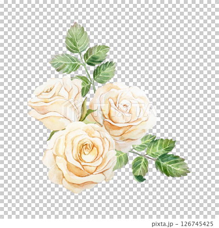 Roses bouquet. Vintage postcard. Hand drawn watercolor illustration isolated on white. For wedding invitations, birthday, mothers day, valentines day banners, posters. Roses bouquet. Vintage postcard. Hand drawn watercolor illustration isolated on white. For wedding invitations, birthday, mothers day, valentines day banners, posters. 126745425