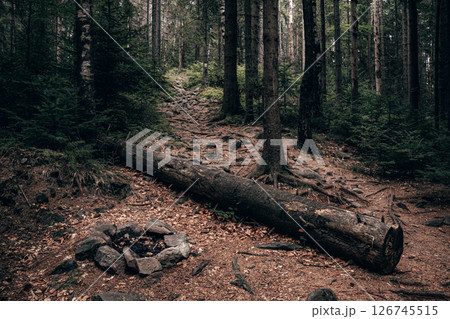 The forest around it remains untouched, serene, and inviting. The forest around it remains untouched, serene, and inviting. 126745515