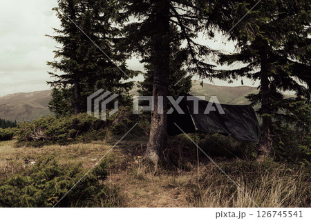 Nestled in the shade of tall pines, this forest campsite offers a quiet escape from civilization. 126745541