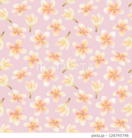 Romantic plumeria flowers watercolor seamless pattern on pastel pink. Summer tropical yellow and orange repeat background for floral designs. Frangipani blooming plant botanical clip art Romantic plumeria flowers watercolor seamless pattern on pastel pink. Summer tropical yellow and orange repeat background for floral designs. Frangipani blooming plant botanical clip art 126745746