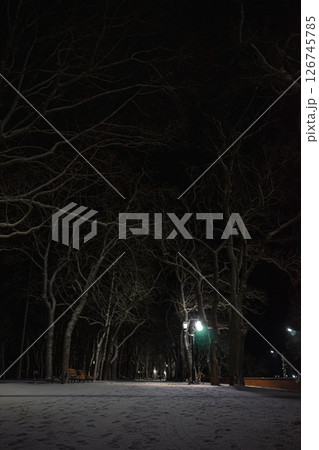 winter nightscape winter nightscape 126745785