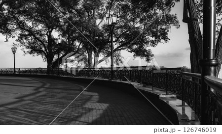 urban autumn landscape in black and white urban autumn landscape in black and white 126746019