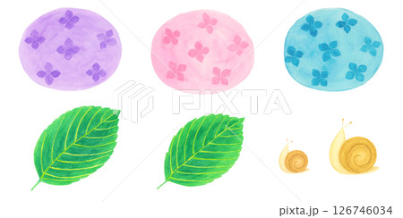 アジサイと葉っぱとカタツムリの水彩イラスト素材 126746034